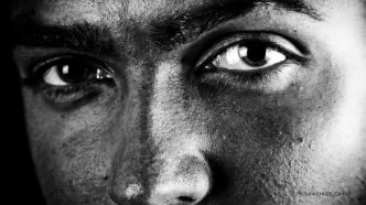 The Evolutionary Significance of Eyebrows in Human Communication