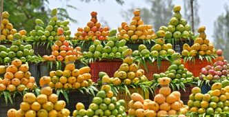 Annual Mango Festival in Washington Highlights Popularity of Indian Mangoes