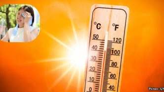 Understanding the Heat Index: Implications for Public Health and Safety