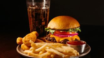 Harvard Study Links Ultra-Processed Foods to Increased Risk of Cognitive Decline and Dementia