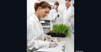 Life Biosciences Secures FDA Clearance for ER-100, Pioneering Therapy for Optic Neuropathies