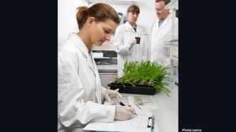 Life Biosciences Secures FDA Clearance for ER-100, Pioneering Therapy for Optic Neuropathies