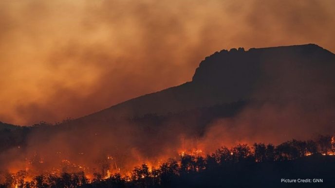 6 July, 2026: What the Soot Revealeds