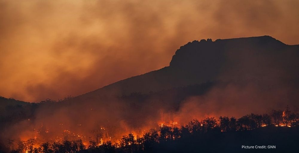 6 July, 2026: What the Soot Revealeds