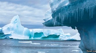 Antarctica Records Lowest Temperature in Over a Decade Amid Climate Variability