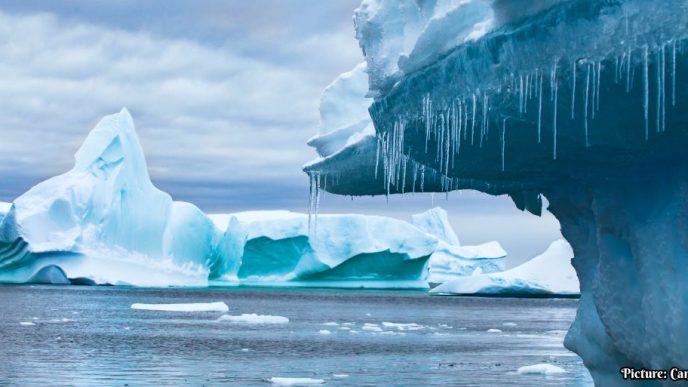 Antarctica Records Lowest Temperature in Over a Decade Amid Climate Variability