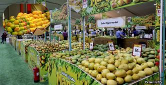 Hamba Indian Mango Exhibition in Doha Achieves Record Sales and Attendance