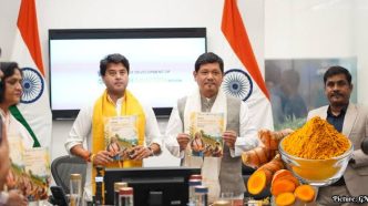 India Launches ₹175.45 Crore Mission to Enhance Lakadong Turmeric Production in Meghalaya