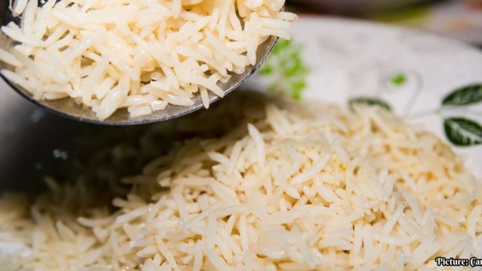 GNN India Showcases Culinary Heritage at Summer Fancy Food Show 2026 with Record Participation