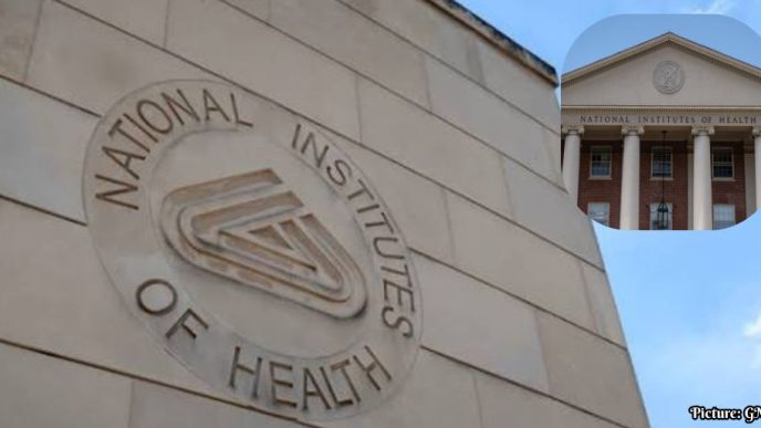 N.I.H. Unveils World's Largest Integrated Health Database, Expanding Horizons for Personalized Medicine