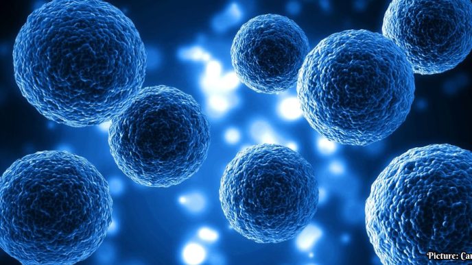 New Stem Cell Research Aims for Functional Cure of Type 1 Diabetes