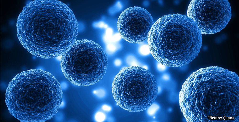 New Stem Cell Research Aims for Functional Cure of Type 1 Diabetes