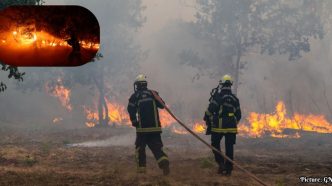 Over 200,000 Evacuated in France and Spain as Wildfires Rage Amid Climate Crisis