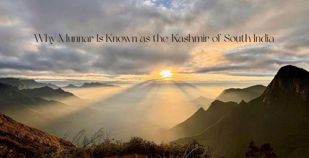 Why Munnar Is Known as the 'Kashmir of South India'
