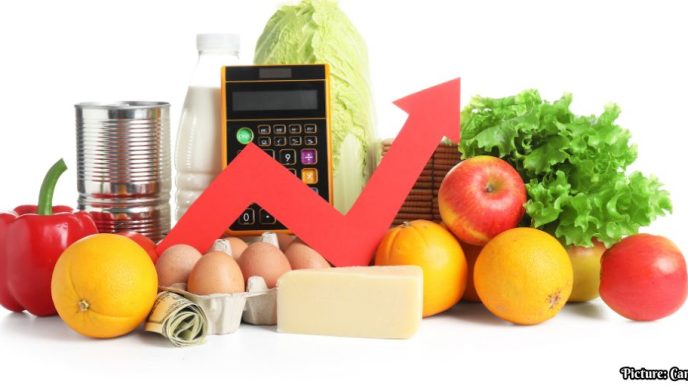 Rising Grocery Prices Transform American Shopping Habits in 2026