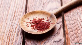 Saffron-Derived Compound Crocin II Shows Potential in Treating Metabolic Associated Steatotic Liver Disease