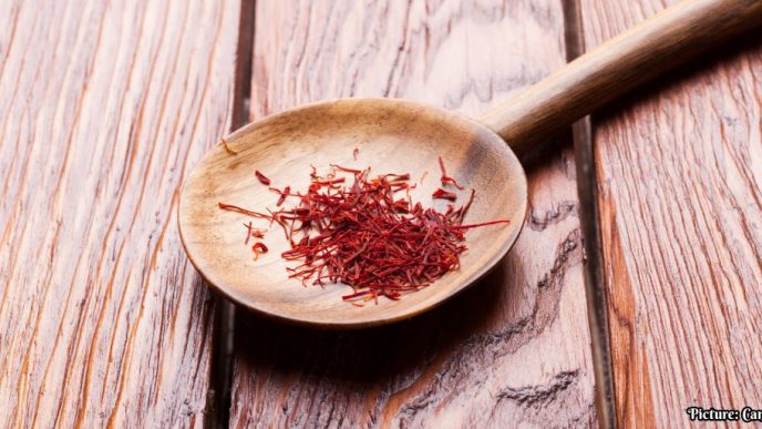 Saffron-Derived Compound Crocin II Shows Potential in Treating Metabolic Associated Steatotic Liver Disease