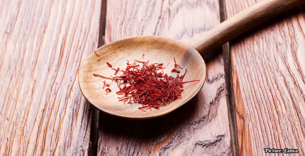 Saffron-Derived Compound Crocin II Shows Potential in Treating Metabolic Associated Steatotic Liver Disease