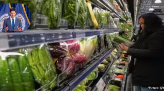 U.S. Economic Growth Slows to 1.5% Amid Inflation and Global Turmoil
