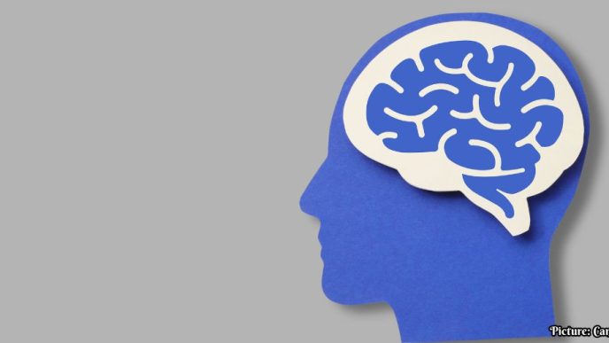 World Health Organization Updates Global Dementia Guidelines, Adding Air Pollution to Modifiable Risks and Advising Against Routine Supplements