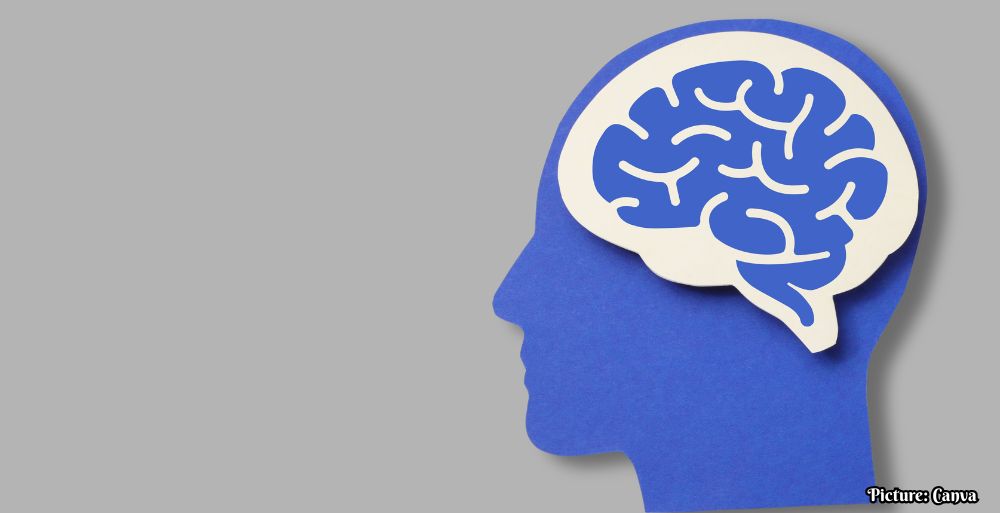 World Health Organization Updates Global Dementia Guidelines, Adding Air Pollution to Modifiable Risks and Advising Against Routine Supplements