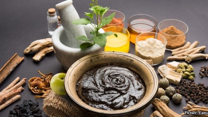 Exploring Ayurveda: A Transformative Wellness Experience at Somatheeram