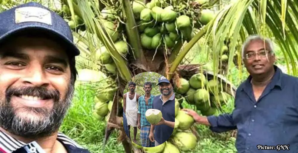 Actor R Madhavan Transforms Barren Land into Thriving Coconut Farm in Tamil Nadu
