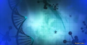 Chinese Clinical Trial Reports Promising Results for Stem Cell Therapy in Heart Failure Patients