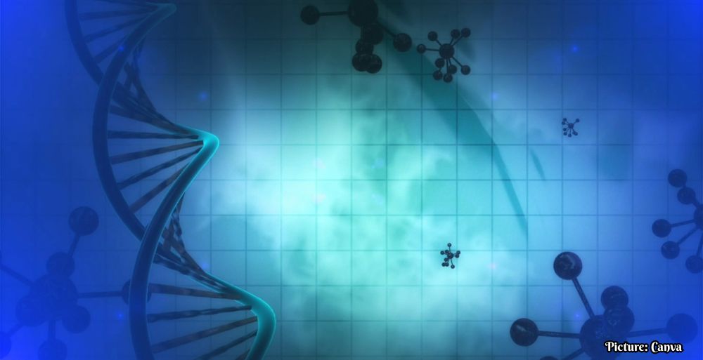 Chinese Clinical Trial Reports Promising Results for Stem Cell Therapy in Heart Failure Patients