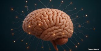 New Computer Model Reveals Connection Between Brain Chemistry and Neural Activity Patterns