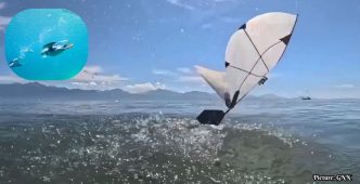 MIT Develops Innovative Aerial-Aquatic Robot for Ocean Monitoring