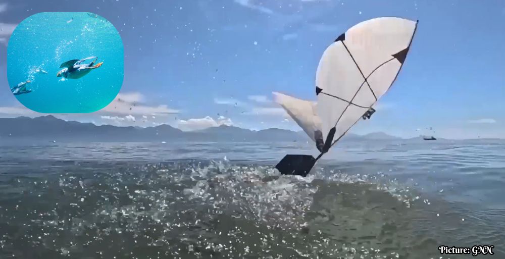 MIT Develops Innovative Aerial-Aquatic Robot for Ocean Monitoring