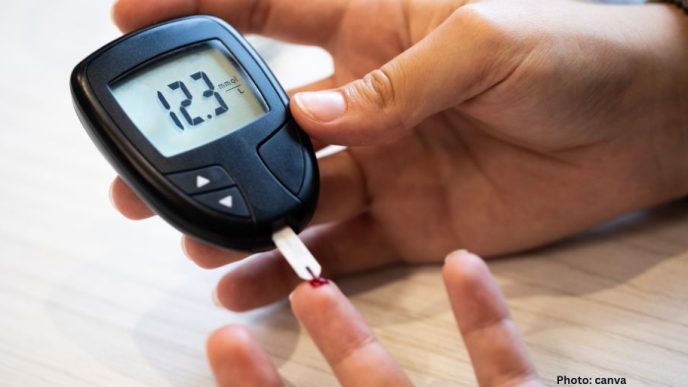 Expert Guidance on Balancing Blood Sugar Through Meal Planning