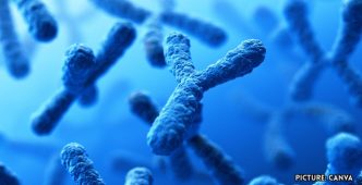 Study Finds Loss of Y Chromosome in Men Linked to Cancer Development