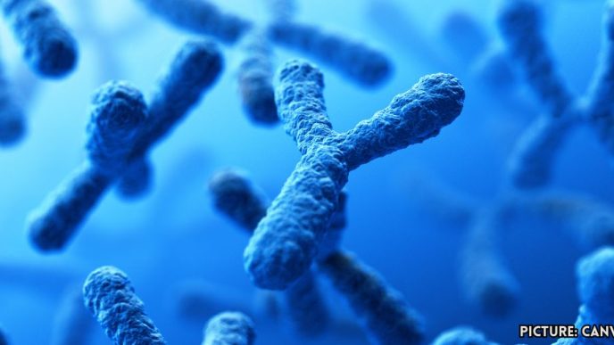 Study Finds Loss of Y Chromosome in Men Linked to Cancer Development