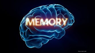 Psychologist Marisa Franco Advocates Memory Reshaping to Enhance Self-Worth