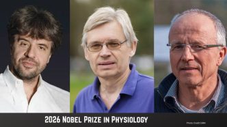 2026 Nobel Prize in Physiology or Medicine Awarded for Innovations in Optogenetics