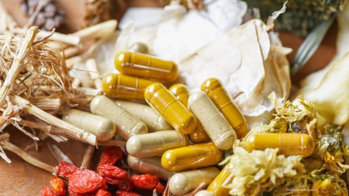 Global Cooperation on Traditional Medicine Emphasized at WHO Meeting in Geneva