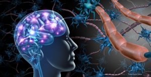 Cleveland Clinic Research Uncovers Mechanisms of Alcohol-Induced Brain Damage Through Immune Cells