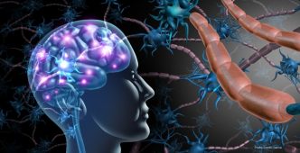 Cleveland Clinic Research Uncovers Mechanisms of Alcohol-Induced Brain Damage Through Immune Cells