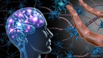 Cleveland Clinic Research Uncovers Mechanisms of Alcohol-Induced Brain Damage Through Immune Cells