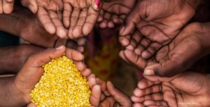 UN Officials Highlight Systemic Causes of Global Hunger Crisis