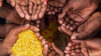 UN Officials Highlight Systemic Causes of Global Hunger Crisis