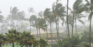 Digital Dreams In The Eye Of The Storm: Cyclone Arnab Batters India’s Multi-Billion-Dollar Data Corridor