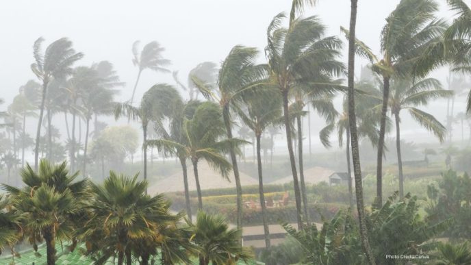 Digital Dreams In The Eye Of The Storm: Cyclone Arnab Batters India’s Multi-Billion-Dollar Data Corridor