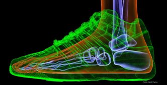 Study Reveals How Footwear Influences Bone Structure and Implications for Understanding Human Evolution