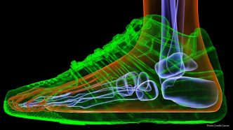Study Reveals How Footwear Influences Bone Structure and Implications for Understanding Human Evolution