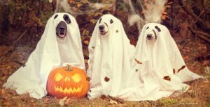Engaging with Fear: How Halloween Can Enhance Emotional Awareness