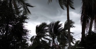 El Niño Drives Unprecedented Hurricane Activity in Eastern Pacific Amidst Atlantic Calm
