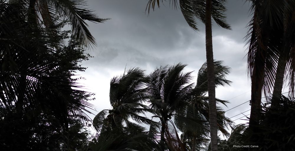 El Niño Drives Unprecedented Hurricane Activity in Eastern Pacific Amidst Atlantic Calm